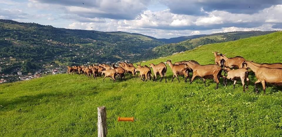 Chalet Spa Le Royal Nathalie Mn La Rouge ラ・ブレス エクステリア 写真